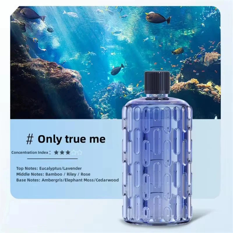 Powerful and Efficient Air Humidifier 180ML Aromatherapy Aroma Diffuser Essential Oil with Colorful Lights for Home Car Bedroom